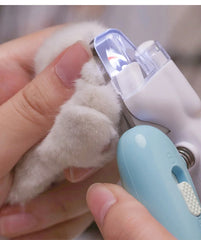 LED electric pet nail clipper - trimming a dog's nail