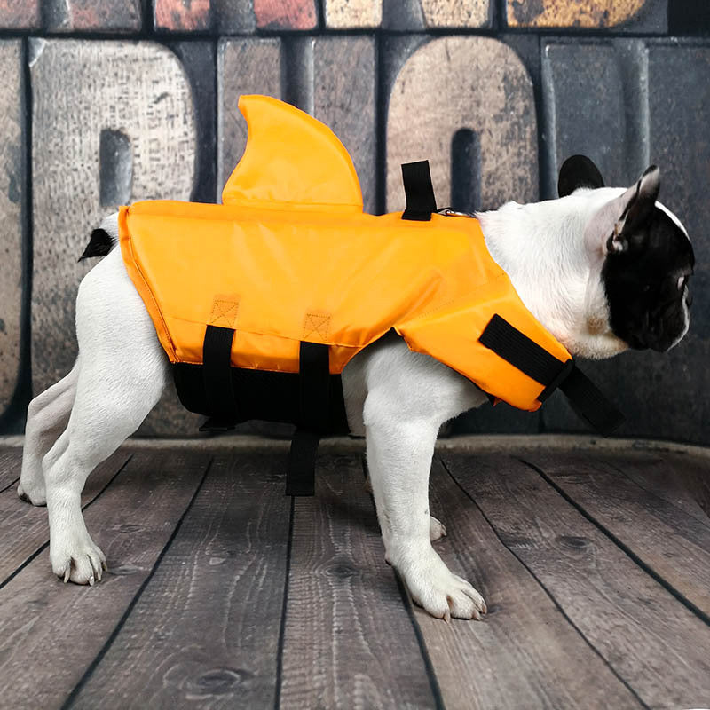 Dog life vest - dog wearing vest swimming