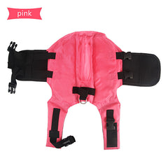 Dog life vest - orange color